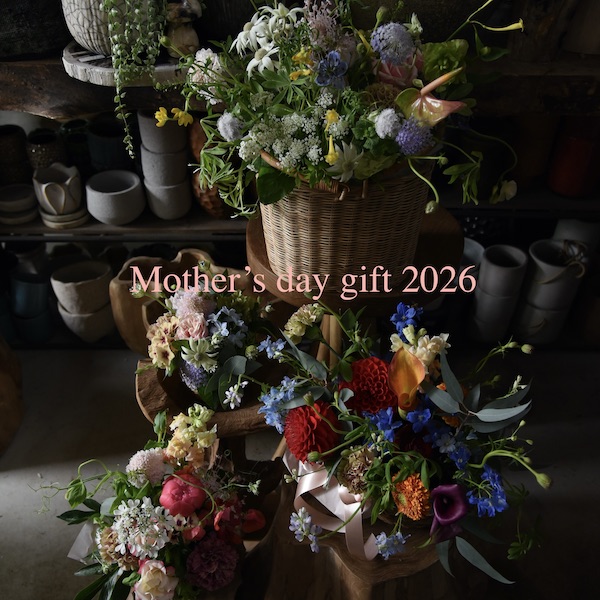 Mother’s day gift 2026