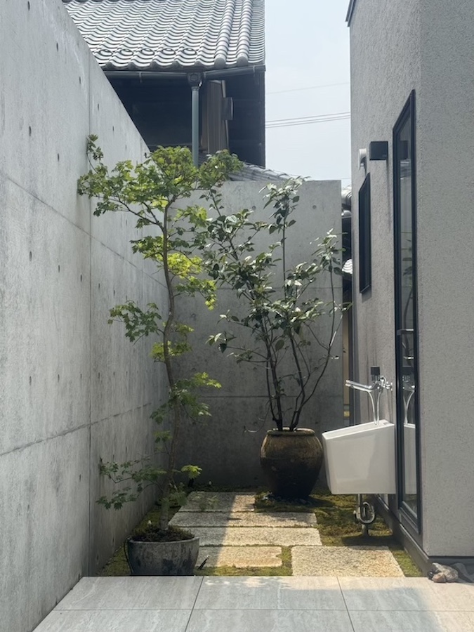 立派なお宅に立派な鉢植えと植栽を