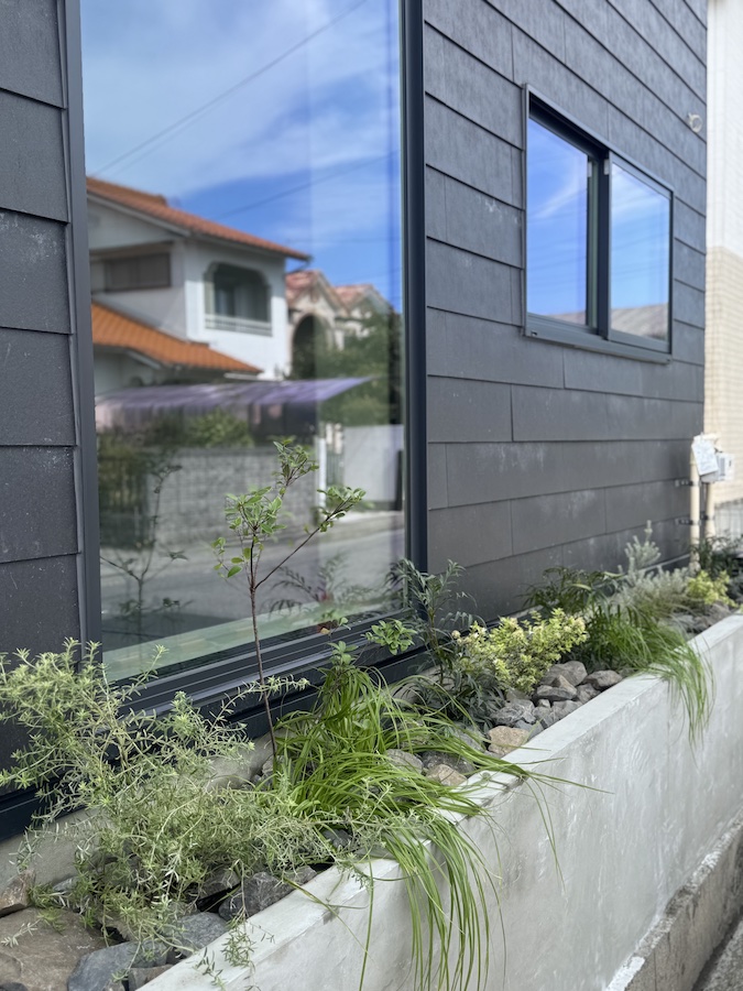 建物前のちょっとした場所に緑を